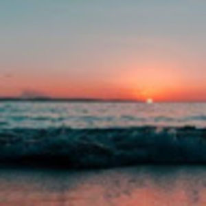 Meet your Posher, Reagan